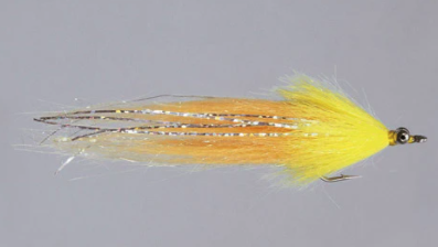 CF Whistler Fly